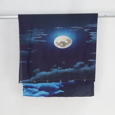 Shower curtain (Blue, Black)