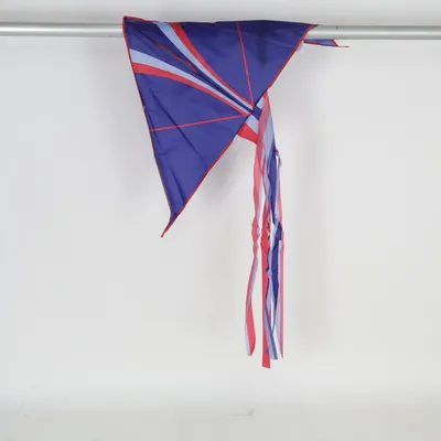 Vlieger (Blauw, Rood, Meerkleurig)