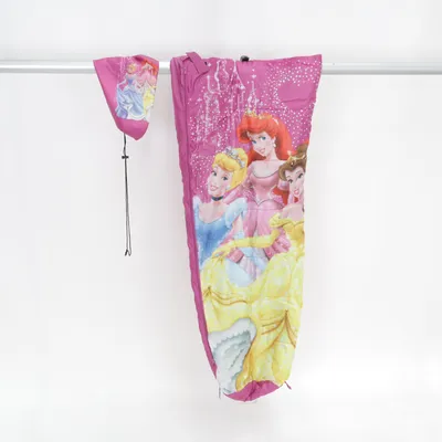 Sleeping bag (Pink, Multicolored) from Disney