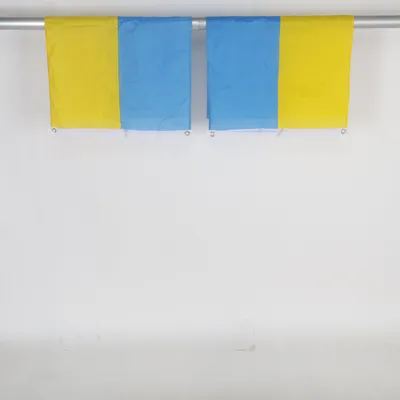 Flag (Blue, Yellow)
