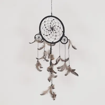 Dreamcatcher (Black, Gray)
