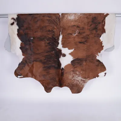 Leather carpet (Brown, Multicolored)