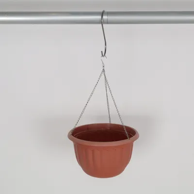 Plant hanger