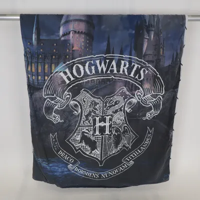 Påslakan (Blå, Flerfärgad) från Harry Potter Bomull