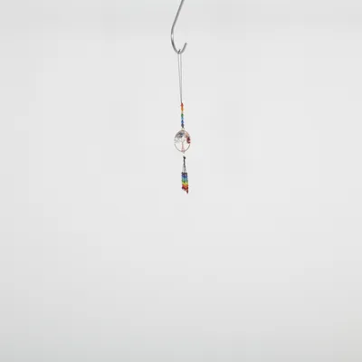 Dreamcatcher (Multicolored)