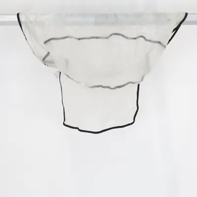 Stroller cover (Transparent) from Babyzen