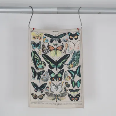 Tapestry (Beige, Multicolored) from Papillonne