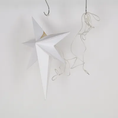 Christmas star (Frozen Star 55 Cm) from Star Trading