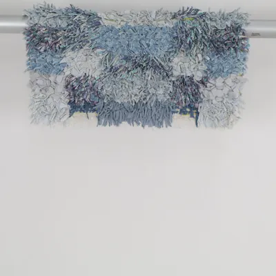 Voddenkleed (Blauw, Wit, Meerkleurig)