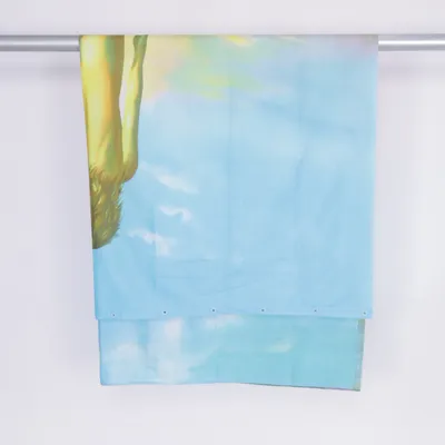 Shower curtain (Blue, Multicolored)