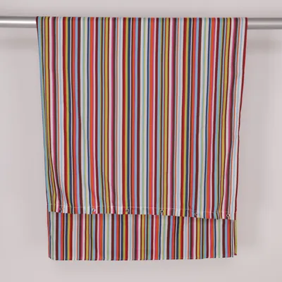 Duschdraperi (Flerfärgad)