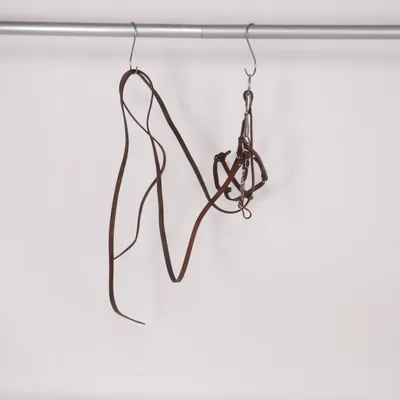 Träns (Westerntrense)