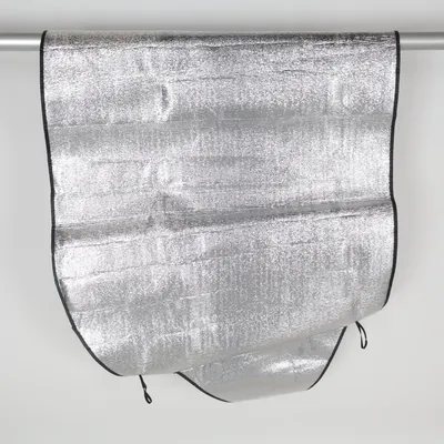 Car accessory (Silver) from Car Xtras