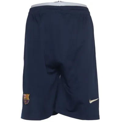 Trainingsshorts (Blauw, Meerkleurig) van Nike Polyester