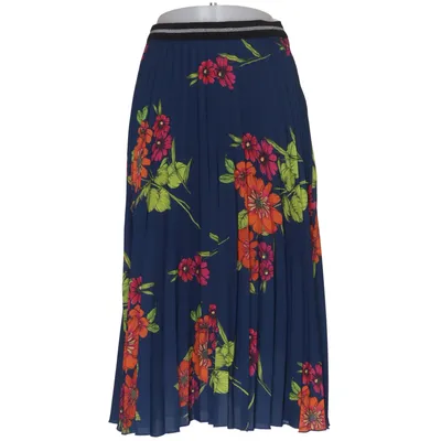 Skirt (Blue, Multicolored) from Set