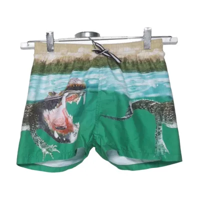 Badshorts (Grön, Flerfärgad) från Molo Swim