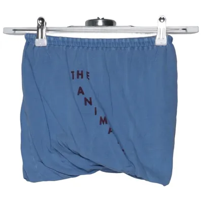 Skirt (Blue) from The Animals Observatory