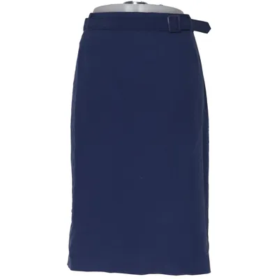 Skirt (Blue) from Westerlind Acetate
