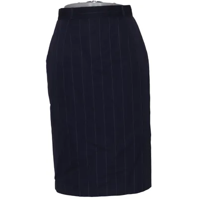 Skirt (Blue) from Sym Polyester