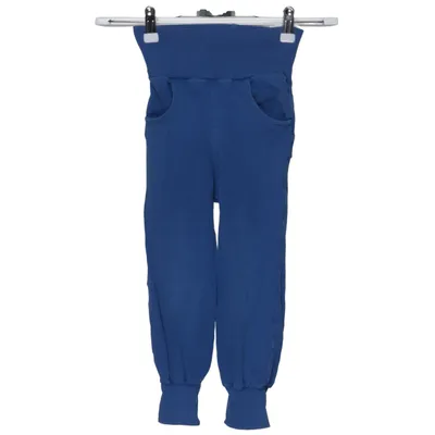 Sweatpants (Blue) from Kameleont Design