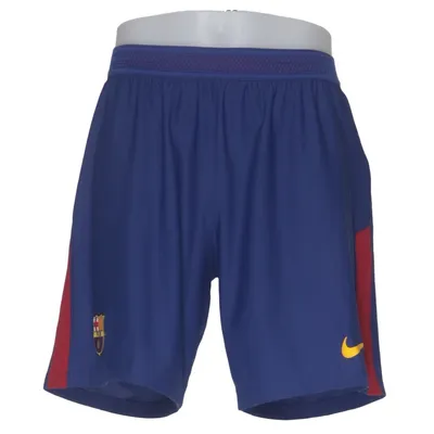 Träningsshorts (Blå, Flerfärgad) från Nike