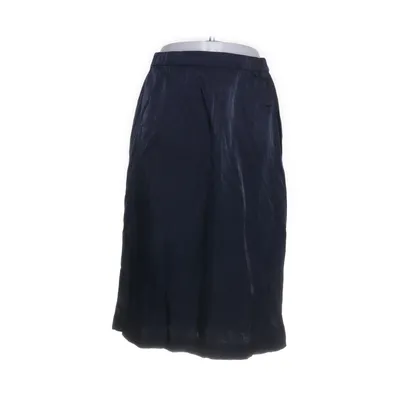 Skirt (Blue) from Ichi