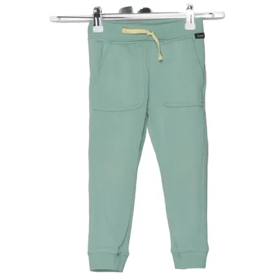 Sweatpants (Green) from Lee Cotton, Polyester
