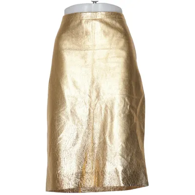 Skirt (Gold) from Zara Woman Studio Leather