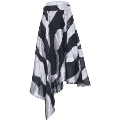 Maxi skirt (Black, Silver) from Coast Polyamide, Polyester