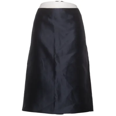 Skirt (Blue) from MaxMara Studio