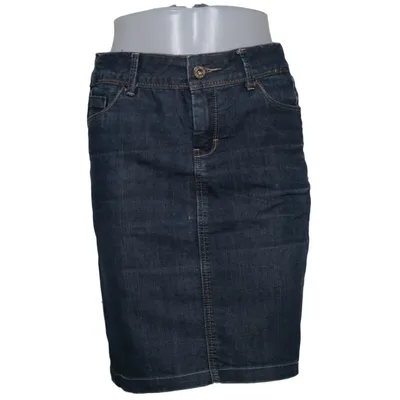 Denim skirt (Blue) from Re