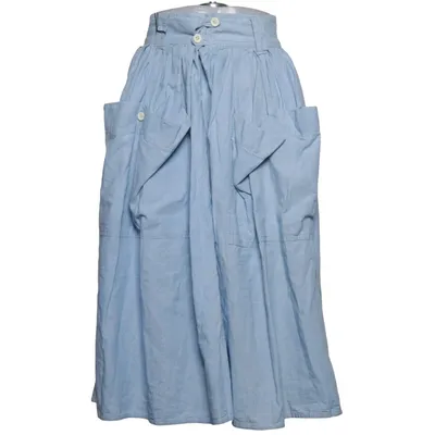 Skirt (Blue) from Picknweight