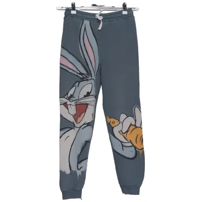 Sweatpants (Gray, Multicolored) from Looney Tunes