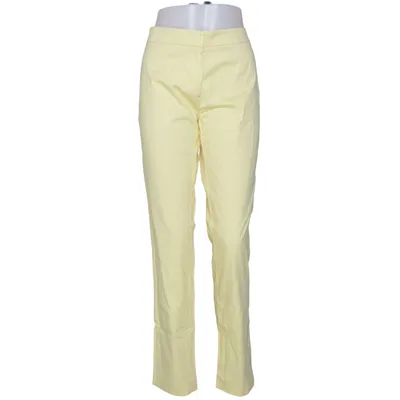 Chino (Jaune) de Bialcon