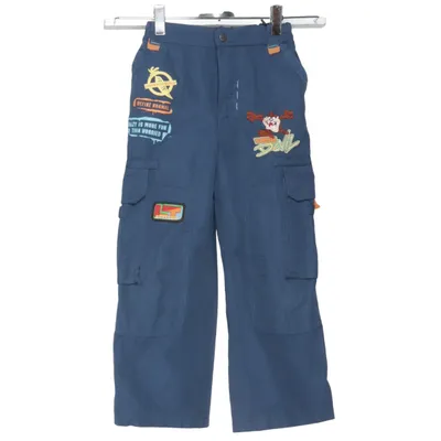 Pantalon cargo (Bleu) de Warner Bros Polyester