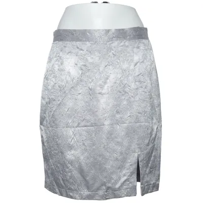 Skirt (Silver) from Francois Perrin Polyester, Viscose