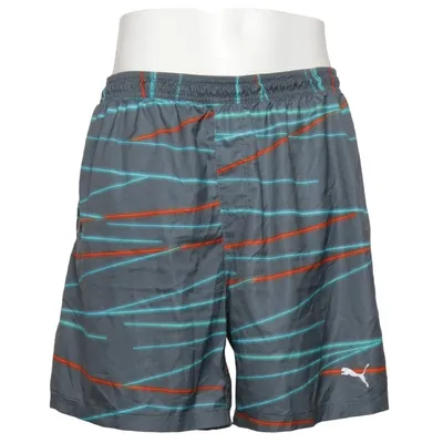 Sports shorts (Gray, Multicolored) from Puma
