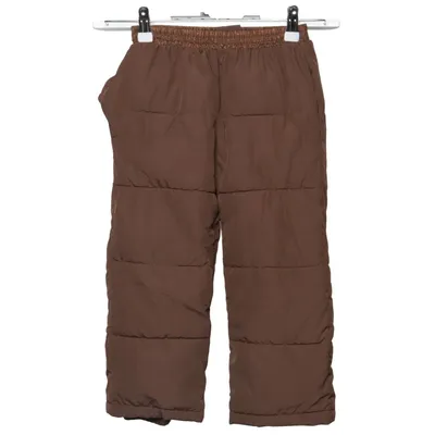 Pants (Brown) from Zara Polyester