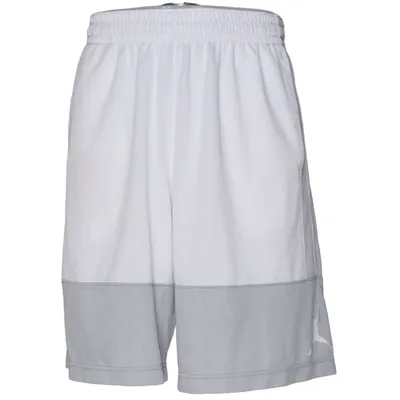 Basketball Shorts (Weiß, Grau) von Jordan Polyester