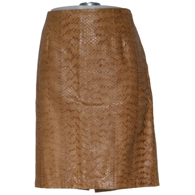 Skirt (Brown) from Miu Miu Leather