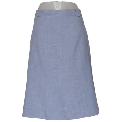 Skirt (Blue) from Jerrys Polyester
