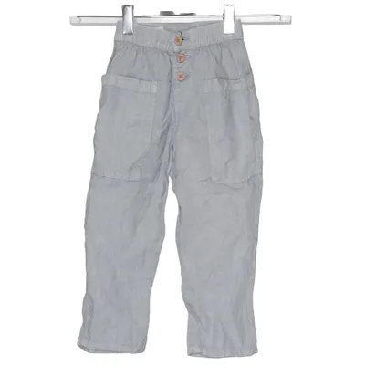 Pants (Gray) from Zara Linen
