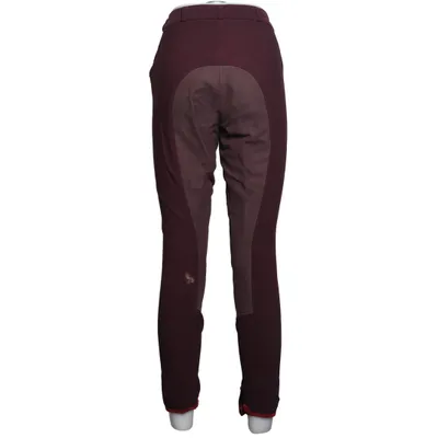 Breeches (Purple) from Euro-Star Cotton, Elastane, Polyamide