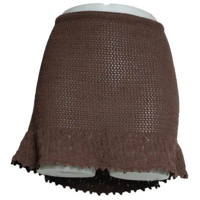 Skirt (Brown) from Zara