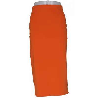 Maxi skirt (Sfilata) from MaxMara