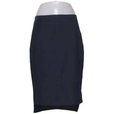 Skirt (Blue) from Ted Baker