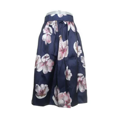 Skirt (Blue, Multicolored) from Chicwish
