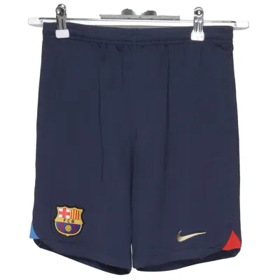 Sports shorts (Blue) from Nike Polyester