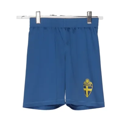 Træningsshorts (Int Sweden Jr Shorts) fra Intersport Polyester