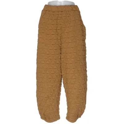 Pants (Brown) from Buykud Polyester